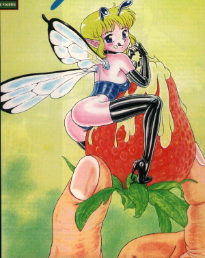 Bondage Fairies