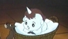 Unico